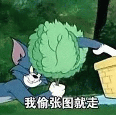 示例图片
